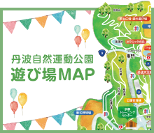 丹波自然運動公園 遊び場MAP